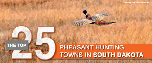 Hoven Listed as one of top 25 towns to pheasant hunt in