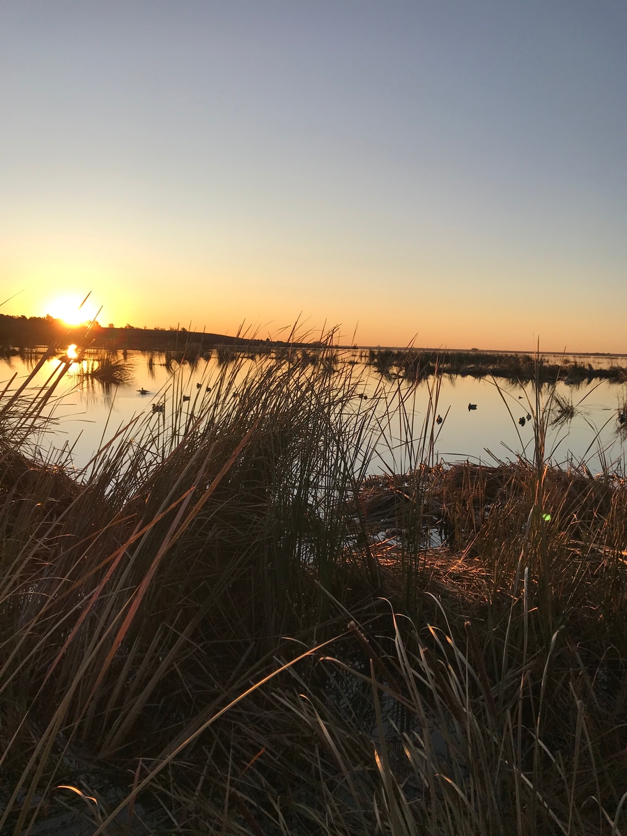 Waterfowl Hunts Photo