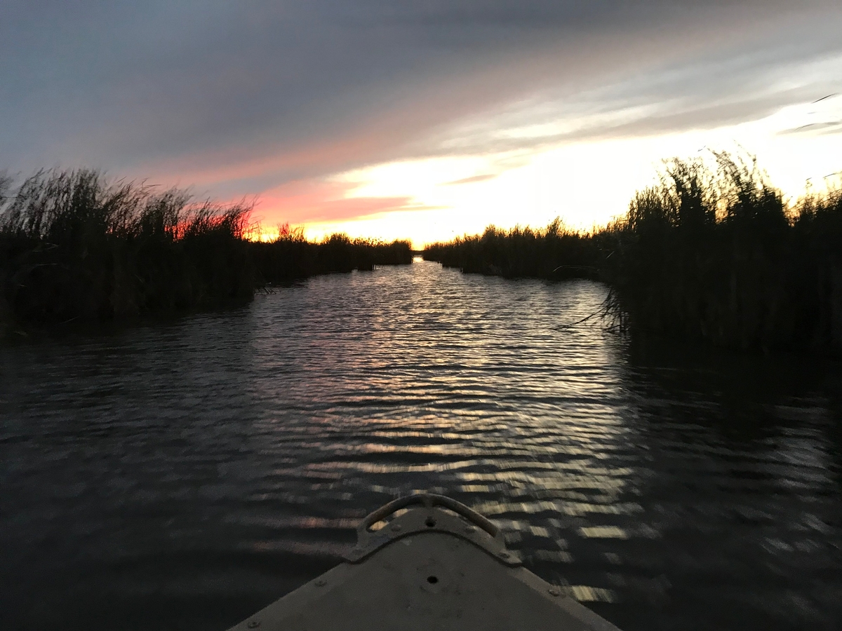 Waterfowl Hunts Photo