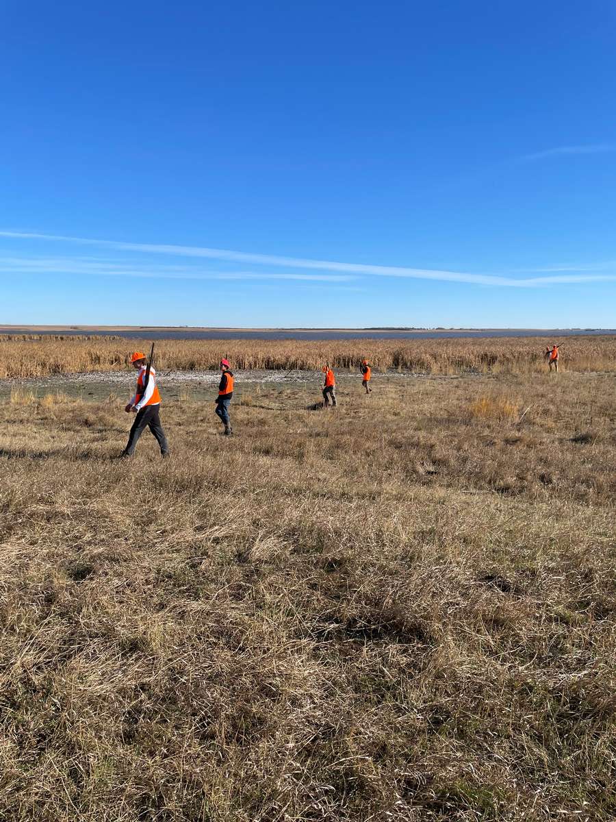 Pheasant Hunting Photo