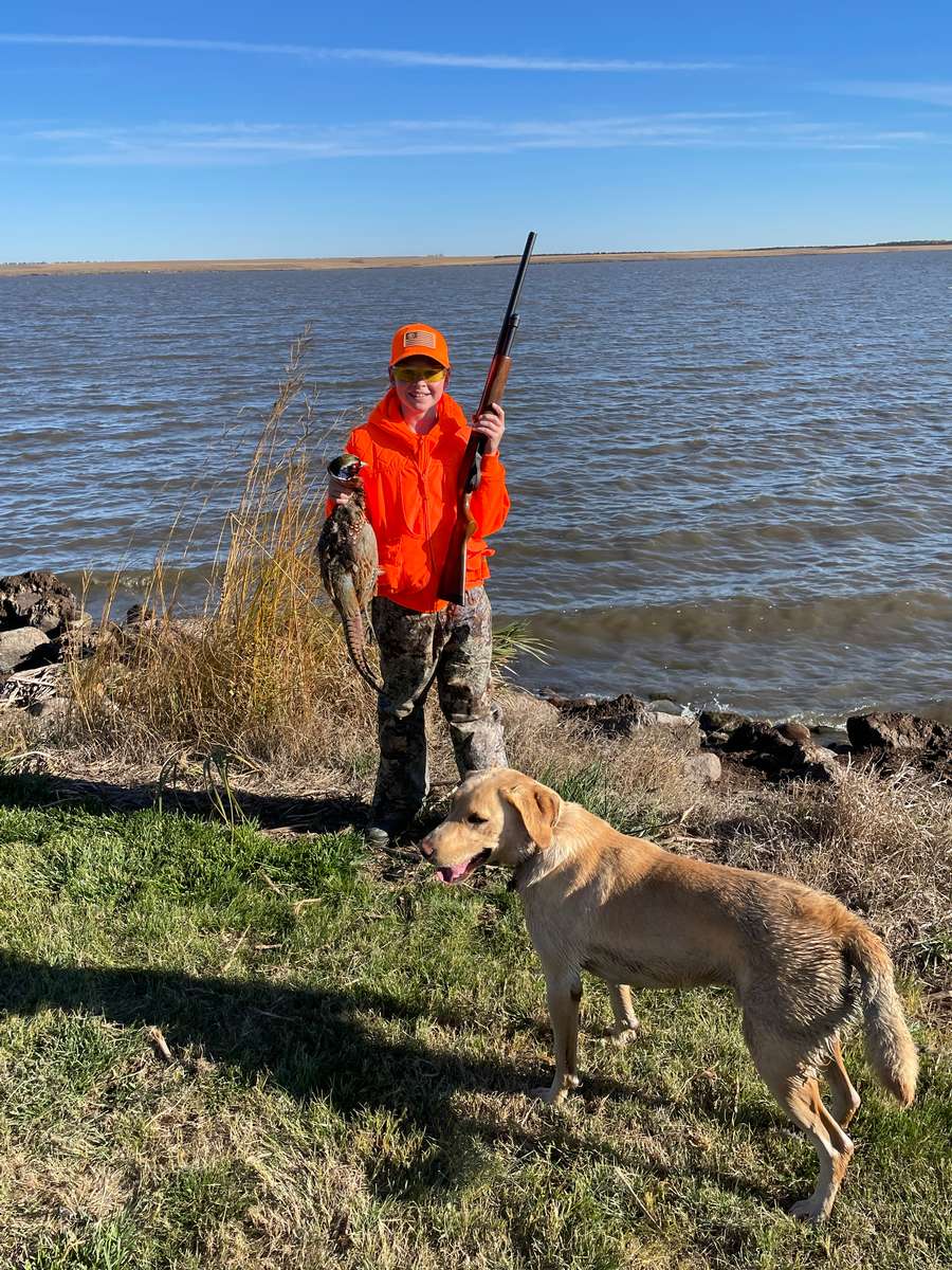 Pheasant Hunting Photo