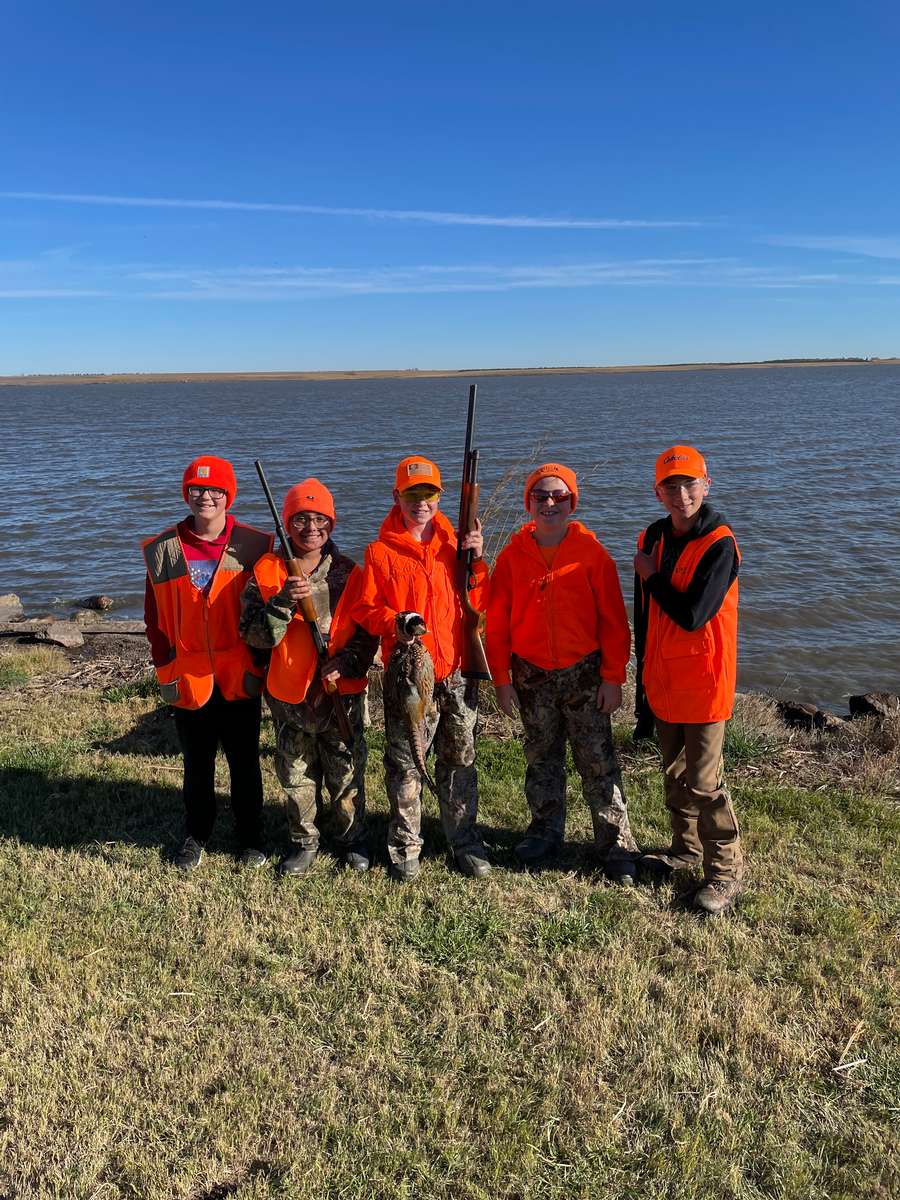 Pheasant Hunting Photo