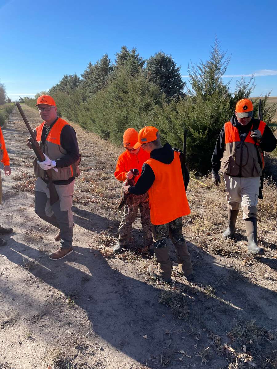 Pheasant Hunting Photo