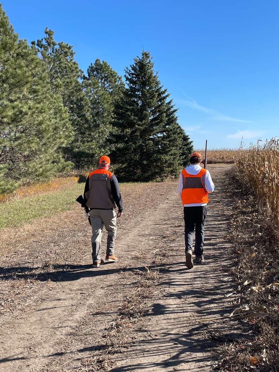 Pheasant Hunting Photo