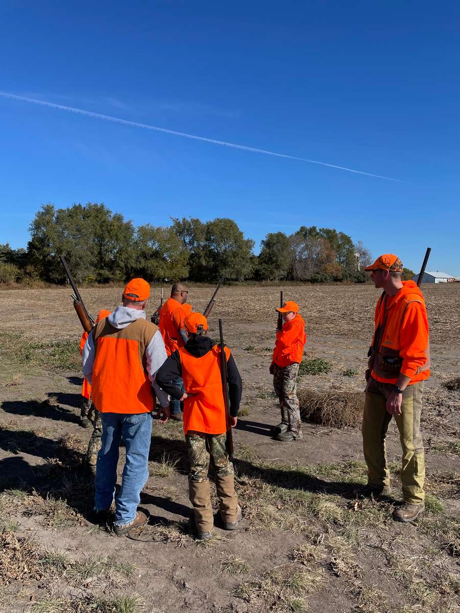 Pheasant Hunting Photo