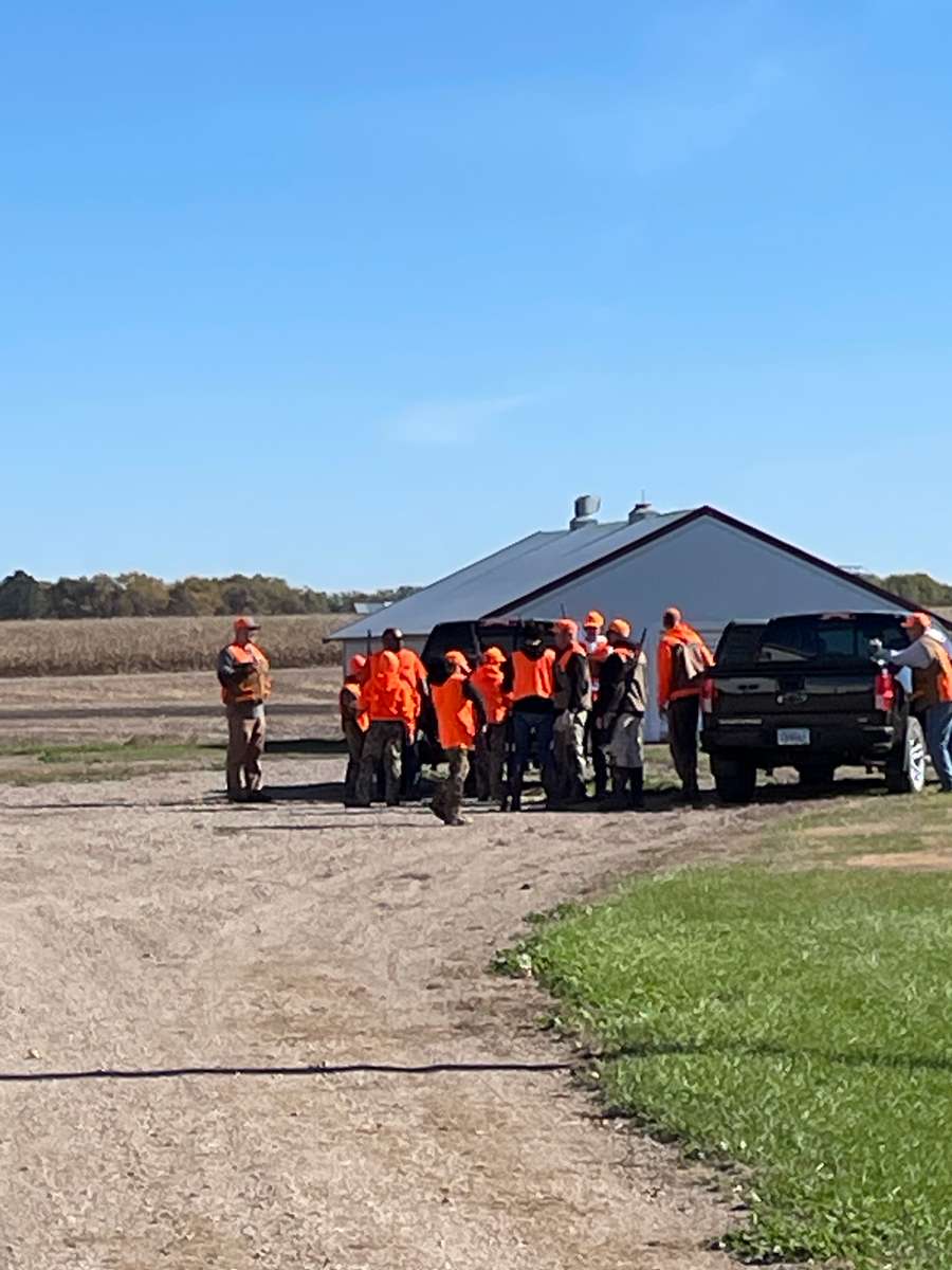 Pheasant Hunting Photo