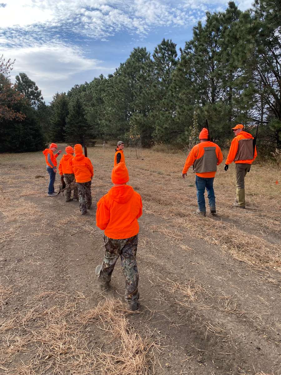 Pheasant Hunting Photo