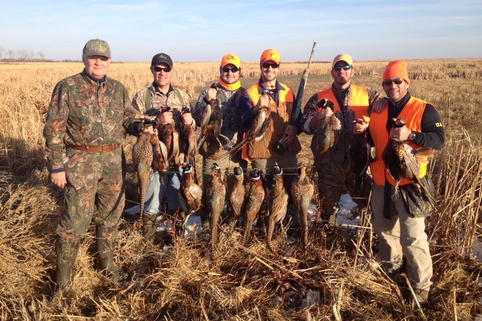 Pheasant Hunting Photo