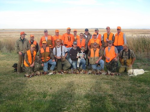 Pheasant Hunting Photo