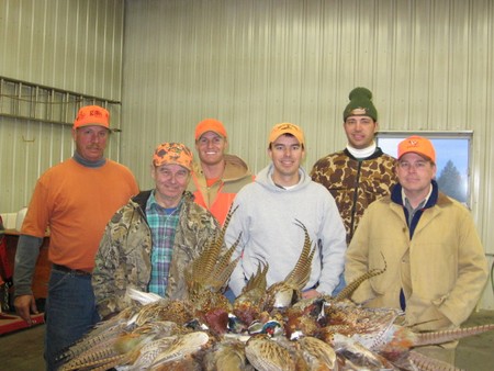 Pheasant Hunting Photo