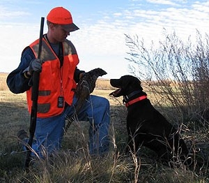 Unguided/Self-Guided Land Access Pheasant Hunts